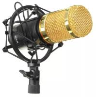 Микрофон FZONE BM-800