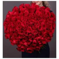 101 красная роза 60 см.