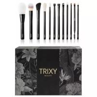 Профессиональный набор кистей для макияжа 12 штук Trixy Beauty "PROFESSIONAL BRUSH SET"