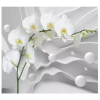 Фотообои Design Studio 3D Белая орхидея на объемном фоне