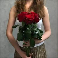 Букет из 5 красных роз сорта РОДОС 60см (КЕНИЯ) с атласной лентой.