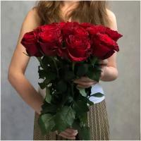 Букет из 15 красных роз сорта РОДОС 60см (КЕНИЯ) с атласной лентой.