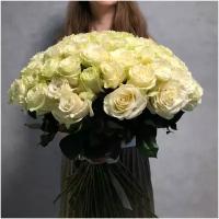 Букет из 80 белых роз сорта мондиаль 60см (эквадор) с атласной лентой. Свежие цветы простоят долго даже на октрытом воздухе.